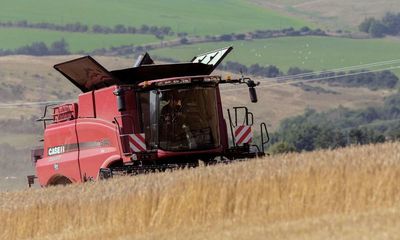 Irish dairy and beef farmers urged to grow crops amid Ukraine shortage fears