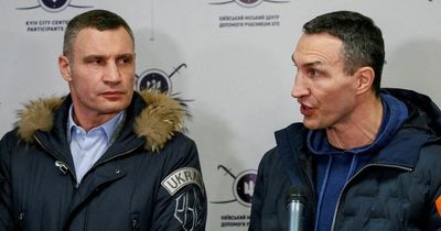 Klitschko brothers demand Russian boxer is banned from fighting Canelo Alvarez