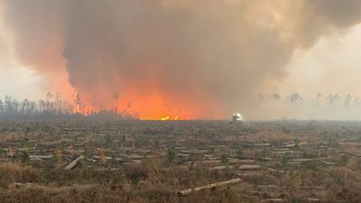 VIDEO: Massive Wildfires Burning In Florida Caused Evacuation Of 1,000 Homes
