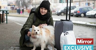 Woman adopts lifesaving dog after hiding in Ukraine basement while home bombed