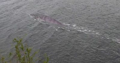 Loch Ness Monster record keeper 'not surprised' there's been no sightings in 2022 but asks public to keep vigilant