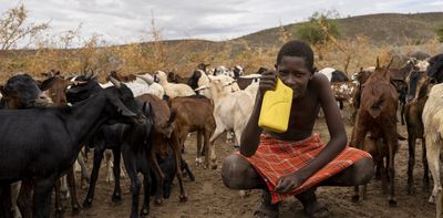 Embracing uncertainty: what Kenyan herders can teach us about living in a volatile world