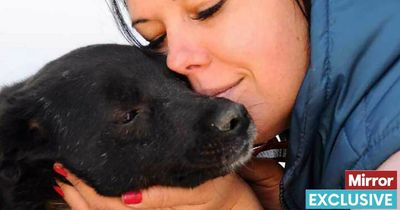 Brave mum gets her kids to safety and returns to Ukraine alone to save dogs