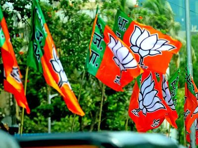 BJP wins 20 Assam civic wards dominated by migrant Muslims