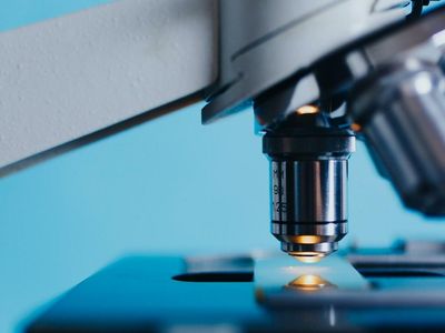 Wednesdays With Wedbush: 3 Smid-Cap Biotech Stock Picks