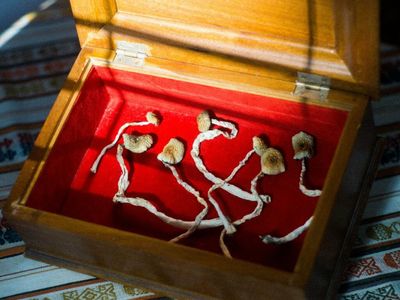 These Private Psychedelics Companies Have Raised Impressive Amounts Of Money