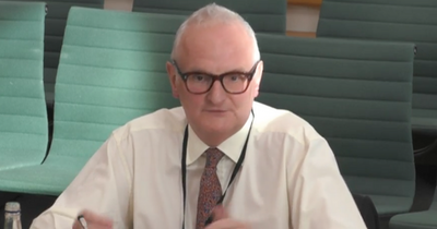 Fraud minister who quit in disgust says Covid loans were 'happy days for crooks'