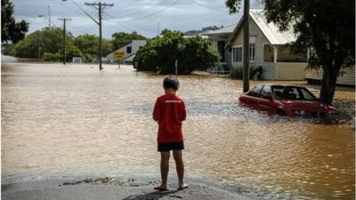 NSW, Queensland floods on track to be among country's worst-ever natural disasters, Climate Council says