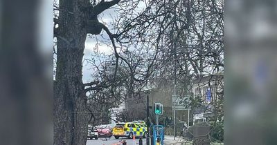 Teens arrested after reports of man with 'air rifle' in Stockport suburb