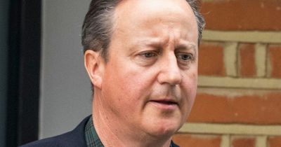 Austerity pioneer David Cameron warns 2022 will be 'a very tough year' as bills soar