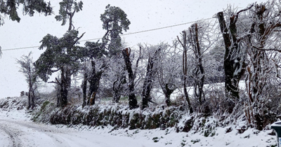 Is heavy snow set to hit Ireland? Met Eireann forecast major temperature dip in cold snap