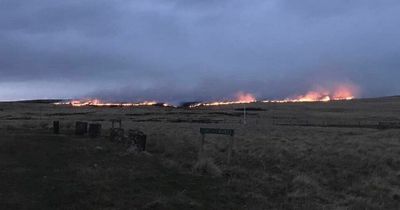 Large grass fire in Northumberland National Park to be left to burn out