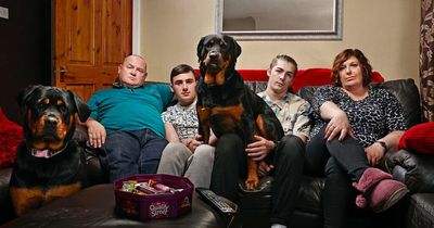 Channel 4 Gogglebox: Tributes to British TV dog icon after the Malones' beloved pet dies