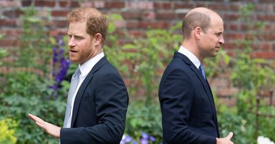 Rift with Harry is 'constant strain' on William as both feel 'a lot of regret', says expert