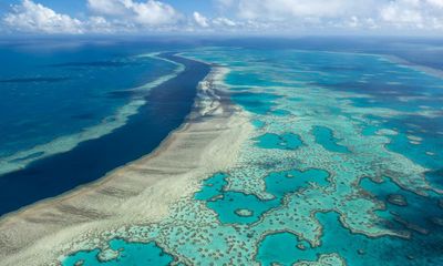 UNESCO to visit Great Barrier Reef as coral bleaching risk rises