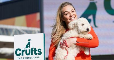 Crufts 2022: Tickets, times and how to watch the world's greatest dog show