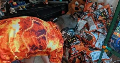 Leeds boy with autism will only eat Flamin' Tangy Cheese Doritos as mum issues desperate plea