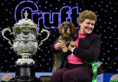 Crufts dog show returns after Covid break and Brexit