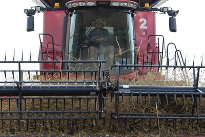 Ukraine war: As wheat prices soar, Australian farmers step up