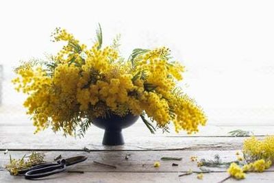 The best London gardening workshops to do in March — from online tutorials to food-growing courses