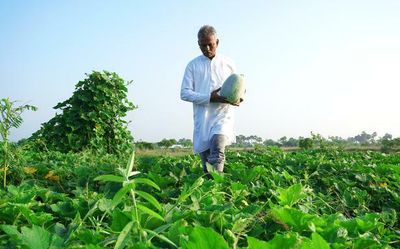 Organic farms in Tamil Nadu are offering value-added products such as traditional sweets and snacks