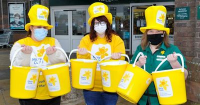 Dumfries going daffodil crazy to help Marie Curie appeal