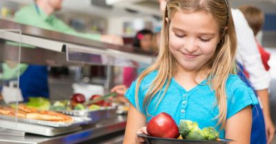 UK schools 'should ban sausages, bacon and milk from menus to keep kids healthy'