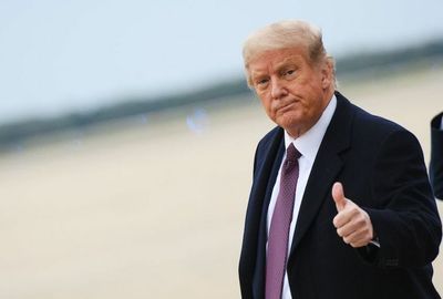 Trump's plane made emergency landing