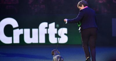 When does Crufts 2022 start and what channel is it on?
