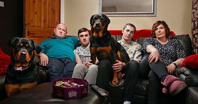 Gogglebox Malone family heartbroken and as "beloved" dog Lucy dies