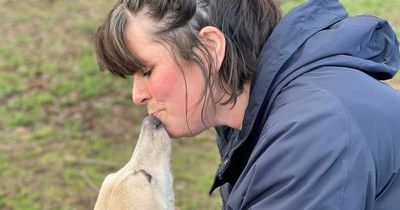 Rescue centre heroically saves hundreds of dogs from barbaric meat trade in China