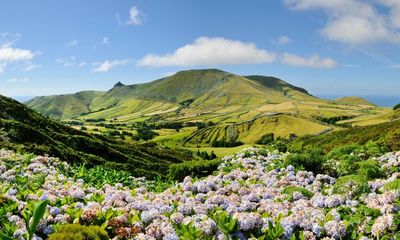 ‘An abundance of blooms’: readers’ best spring flowers in the UK and Europe