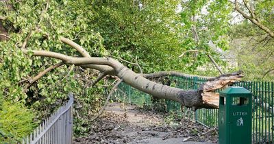 West Lothian council forced to pay private contractors to clean up storm damage