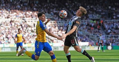 Is Southampton vs Newcastle United on TV? Channel and live stream info, kick-off time and more