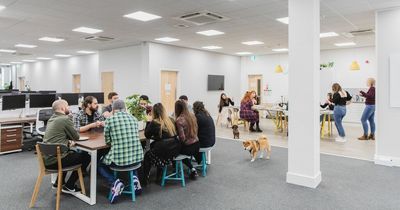 Newcastle's Evolved Search switches to four-day working week after successful trial