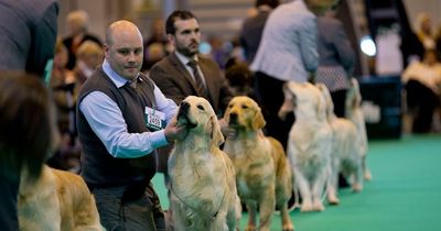 Crufts 2022: Who is presenting this year's Crufts?