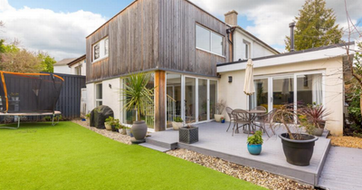 Edinburgh property: Futuristic home with cinema room and garden den hits the market