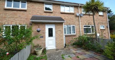 Ordinary three-bed terraced home hides incredible PALACE in living room