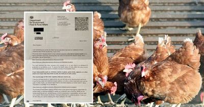 Newcastle and Gateshead residents receive letters warning of nearby bird flu outbreak