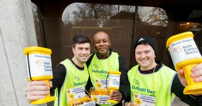 Irish Cancer Society calling for volunteers for first in-person Daffodil Day in two years