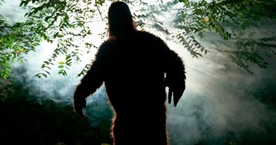 Hiker finds 'Bigfoot' proof as experts say print is definitely 'not from a bear'