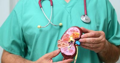 World Kidney Day: What are the symptoms and causes of kidney disease?
