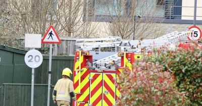 Southmead Hospital bosses praise staff for 'quick actions' in face of bomb threat