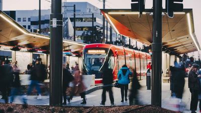 New figures show Canberra's shift from home back into the office