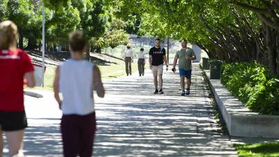 New type of COVID on track to be 'more dominant' in ACT