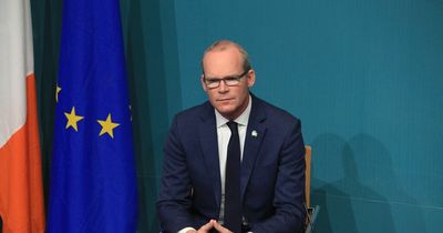 Ireland faces increased cyber attack threat, warns Foreign Affairs Minister Simon Coveney