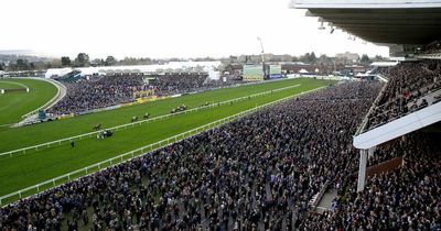Cheltenham chiefs to look at extending Festival to five days after record ticket sales