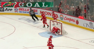 Red Wings’ goalie Alex Nedeljkovic accidentally scores on himself off tragic misplay