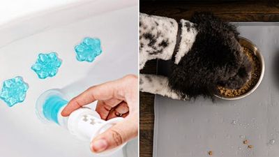 Gross problems in your home you need to stop ignoring because there are easy solutions