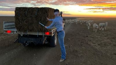 Lingering western Queensland heatwave and drought forces axing of stock